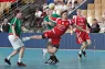 Limburg Handball Cup