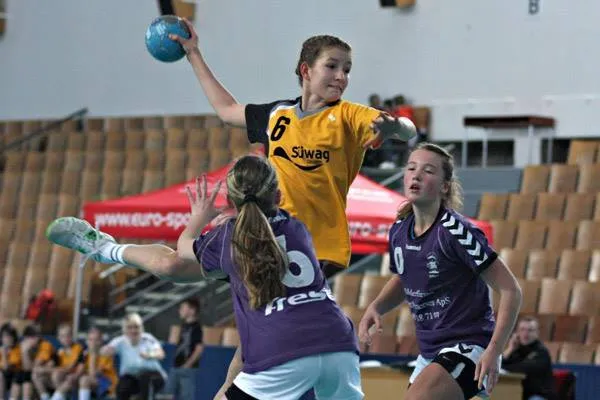 Arnhem Cup (Handball)